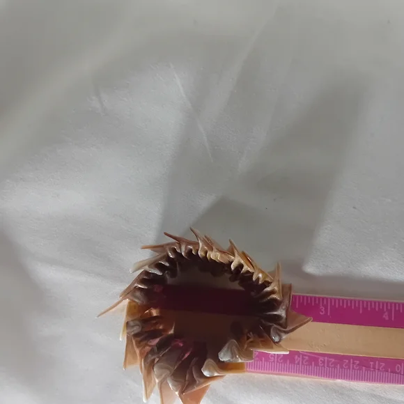 Abalone Shell Bracelet* - Picture 6 of 7